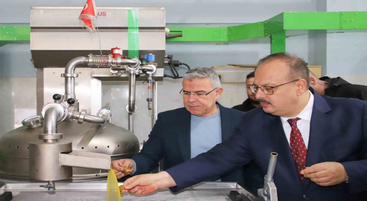 Vali Canbolat, Köşkte zeytinyağı sıkım işletmelerinde incelemelerde bulundu