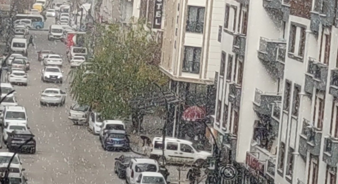 Vanda dolu yağışı şehri beyaza bürüdü