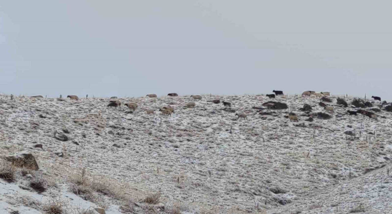 Vanda kış yüzünü gösterdi: Erek Dağı ve çevresi beyaza büründü