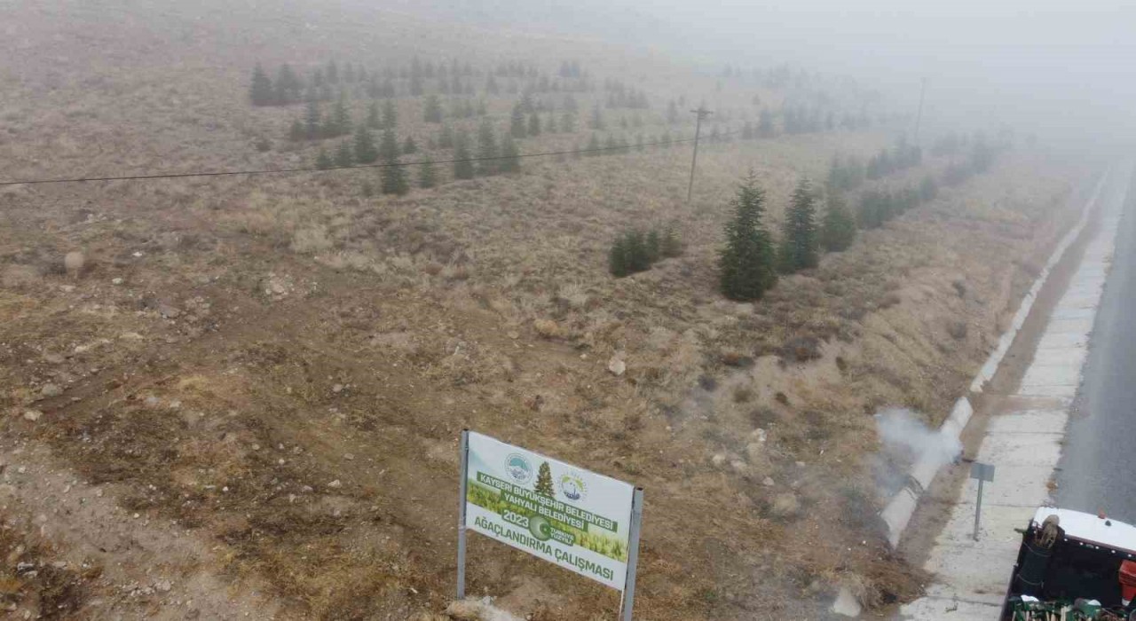 Yahyalıya bin 200 fidan dikildi