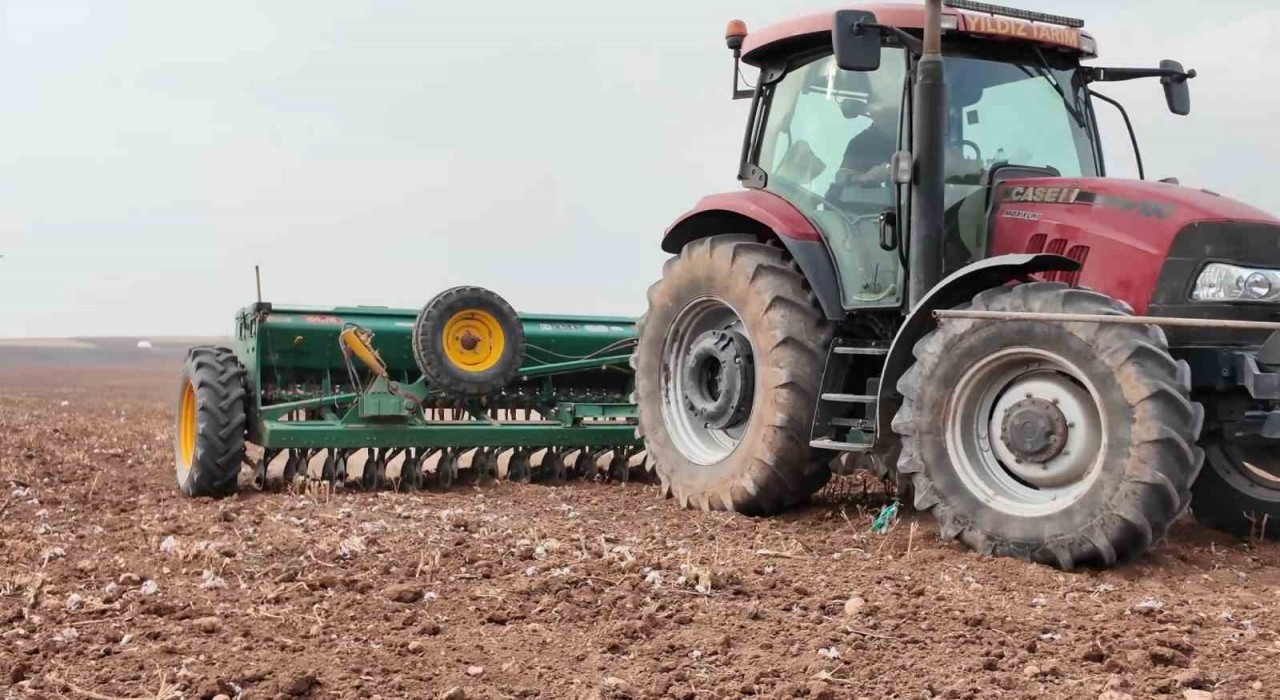 Yıldız Tarım, Mardinde yerli tohum üretimini güçlendirip ihracatta hedef büyütüyor