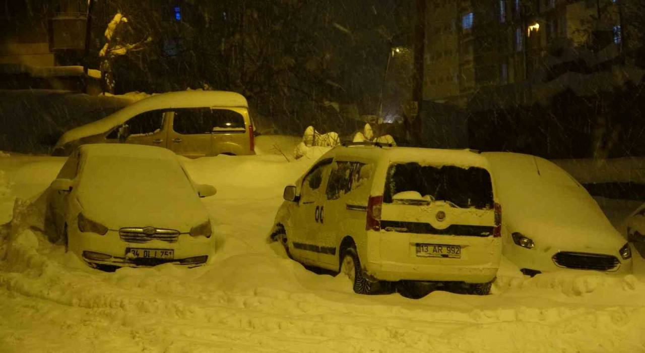 Yoğun kar ve tipi Bitliste hayatı olumsuz etkiledi