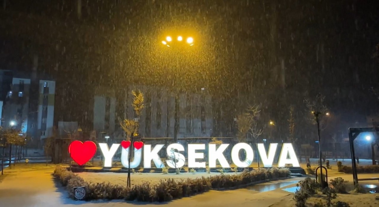 Yüksekovada lapa lapa kar yağışı