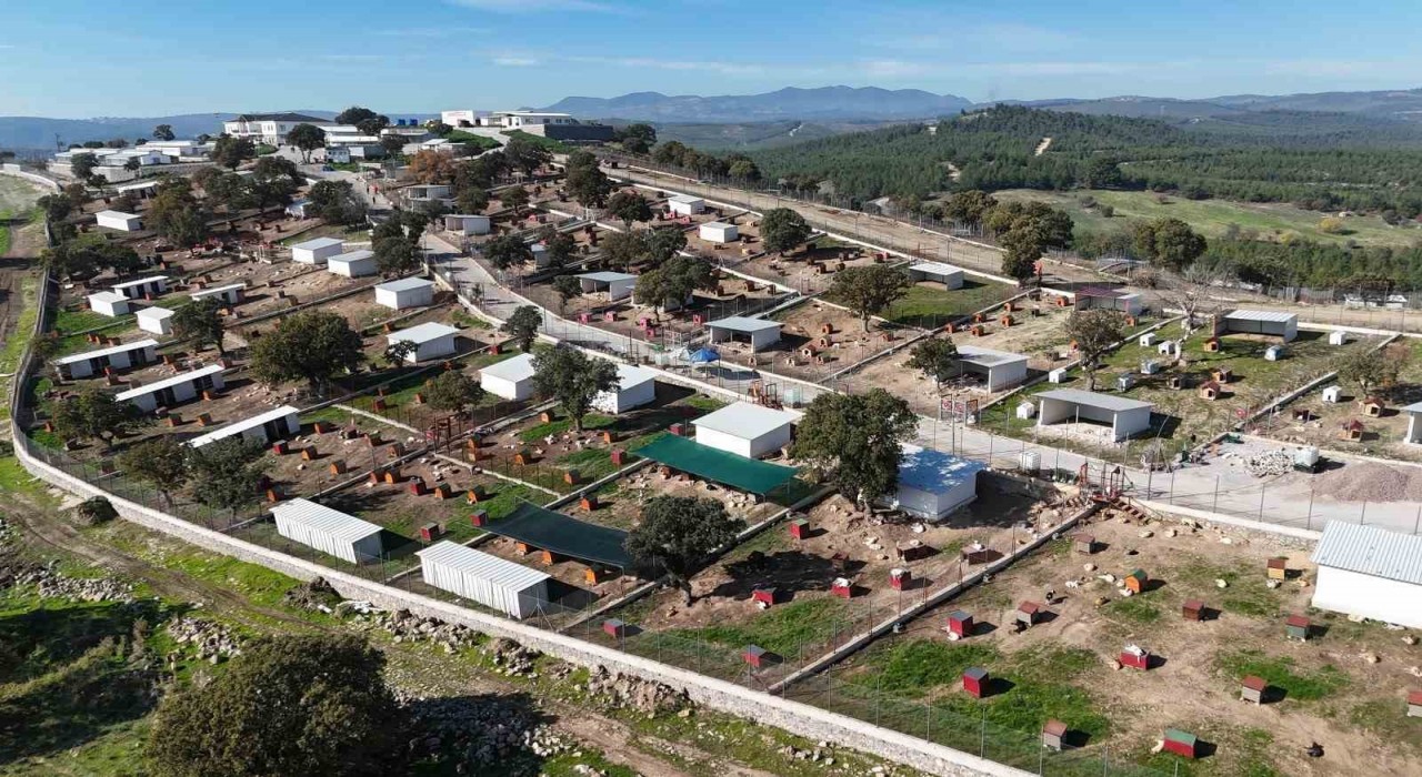 Yunusemrede sokak hayvanlarına örnek yaşam merkezi