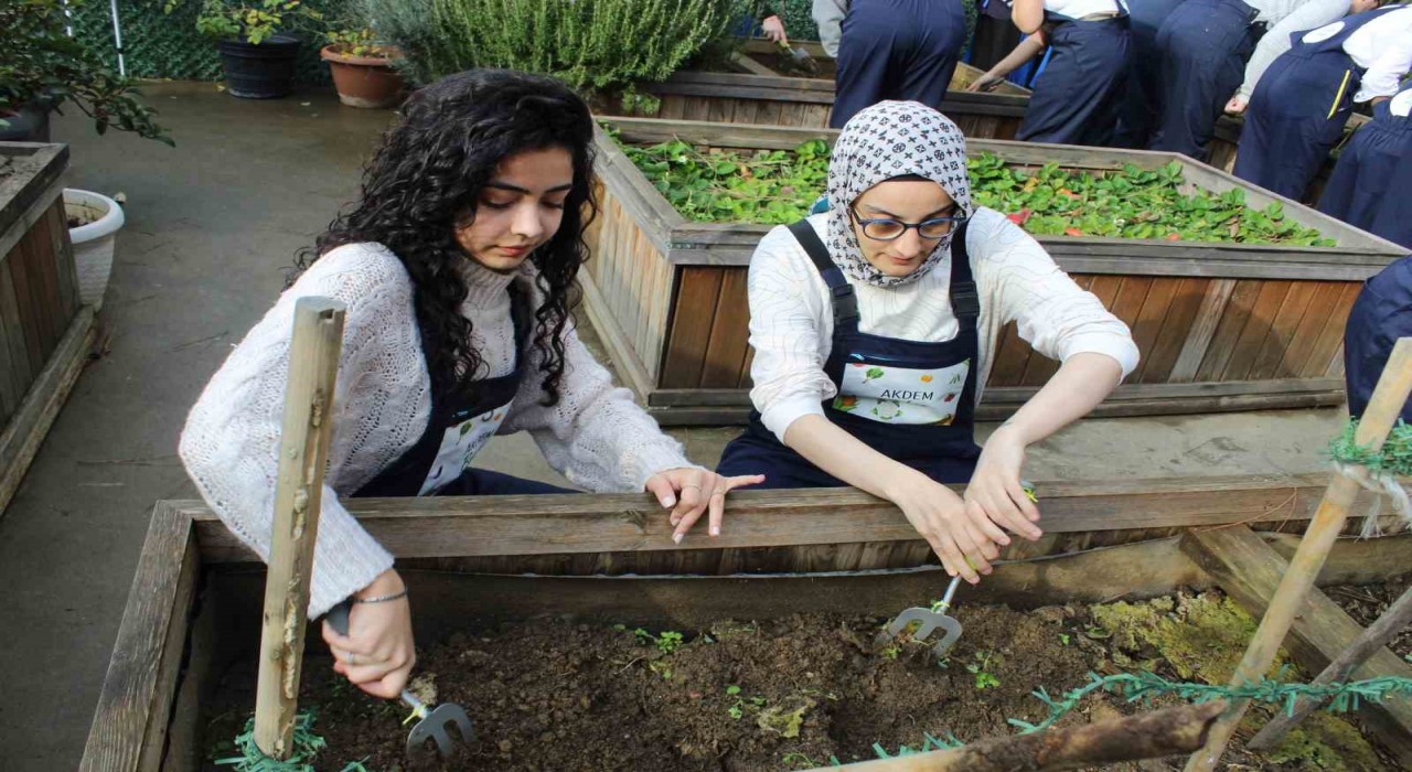 Zeytinburnunda ergoterapi öğrencileri engeli olan bireylerle birlikte fide ekti