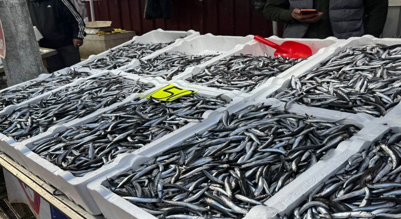 Zonguldakta hamsi 150 liradan alıcı buldu