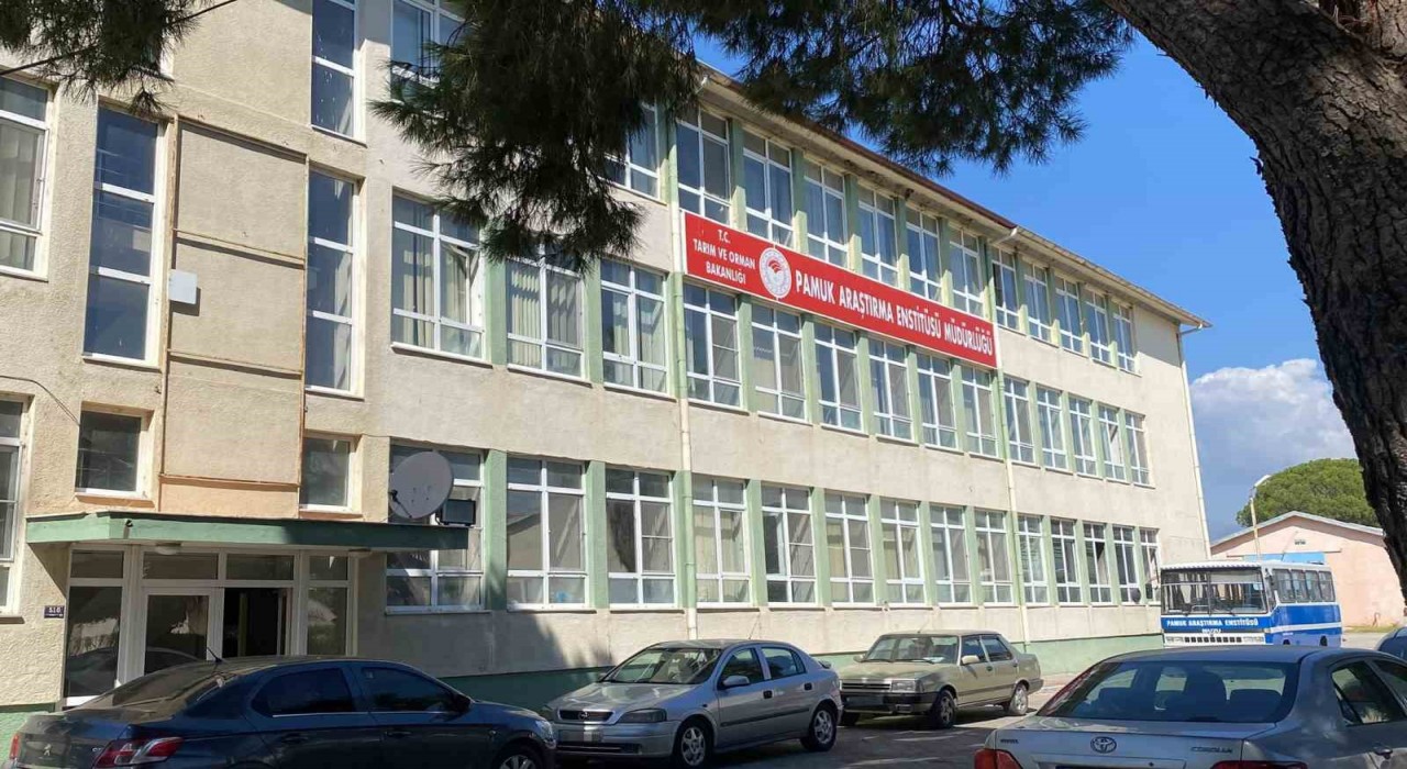Pamuk Araştırma Enstitüsündeki rüşvet iddiasına operasyon