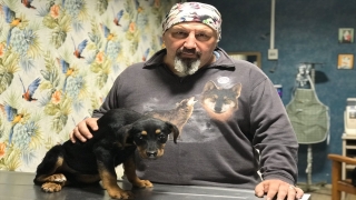 Mersin’de köpek yavrusuna şiddet cep telefonu kamerasında
