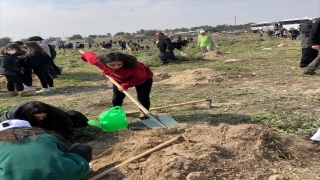 Mersin’de öğrenciler fidan dikti