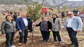 AK Parti Konyaaltı İlçe Gençlik Kolları Başkanlığı’ndan şehitler anısına fidan dikimi