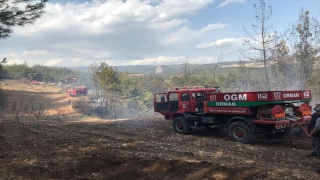 Mersin’de çıkan orman yangını kontrol altına alındı