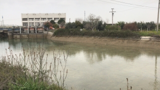 Adana’da kayıp kişi sulama kanalında ölü bulundu