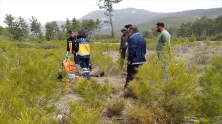 Kaş’ta hayvanlarını otlatmaya çıkan çoban, ormanlık alanda ölü bulundu