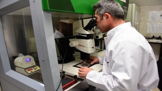 Burdur Mehmet Akif Ersoy Üniversitesi embriyo üretim merkezi çalışma izni aldı