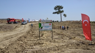 Gurbetçilerin bağışladığı 250 bin fidan Türkiye’de yanan ormanlık alanları yeşertecek