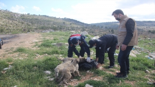 Gülnar’da sahipsiz hayvanlar unutulmuyor