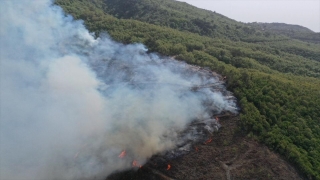 Hatay’da ormanlık alanda çıkan yangın söndürüldü