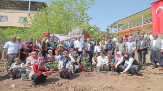 Mersin’de kadın üreticiler aronya üretimine başladı