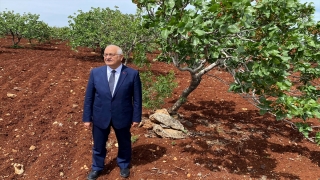 AK Parti Milletvekili Erdoğan, Araban’da Antep fıstığı bahçelerini gezdi