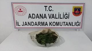 Adana’da orman arazisinde kenevir yetiştiren iki zanlı yakalandı