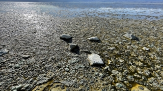 Burdur Gölü’nde alg patlaması suyun rengini değiştirdi