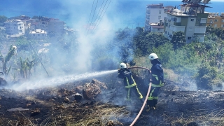 Alanya’da arazide çıkan ot yangını muz bahçelerine sıçramadan söndürüldü