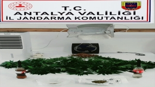Alanya’da gardıropta Hint keneviri yetiştiren zanlı yakalandı