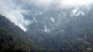 Alanya’da çıkan orman yangınına müdahale devam ediyor