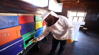 Lavanta tarlasına kurulan ”Arı evi”, rengarenk kovanlarıyla ilgi çekiyor