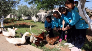 Doğa ve hayvan sevgisini uygulamalı öğreten okul enerjisini de güneşten alıyor