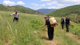 Osmaniye’de çekirgelere karşı ilaçlama çalışması başlatıldı