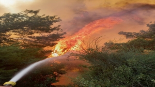Adana’da çıkan orman yangına müdahale ediliyor