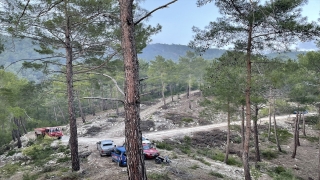 Alanya’da ormanlık alanda çıkan yangın söndürüldü