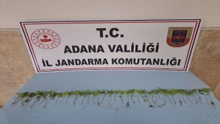 Adana’da uyuşturucu operasyonunda 8 şüpheli yakalandı
