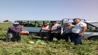 Mersin’de ”ham karpuz ve kavun timi” görevde