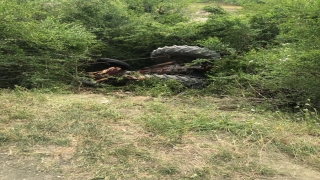 Kahramanmaraş’ta devrilen traktörün sürücüsü hayatını kaybetti