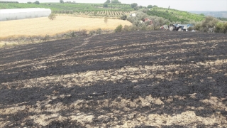 Tarsus’ta buğday tarlalarında çıkan yangın söndürüldü