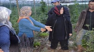 Elmalı’da sağanak seralarda zarara yol açtı