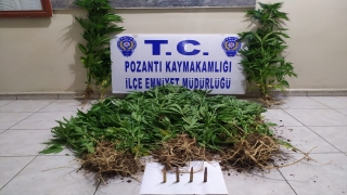 Adana’da bağ evinde Hint keneviri yetiştiren şüpheli yakalandı