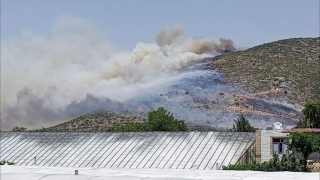 Antalya’da makilik alanda çıkan yangına müdahale ediliyor