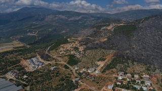 Antalya’da makilik alanda çıkan yangın kontrol altına alındı