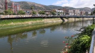 Asi Nehri’nde toplu balık ölümleri görüldü