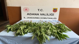 Adana’da uyuşturucu operasyonlarında 22 zanlı yakalandı