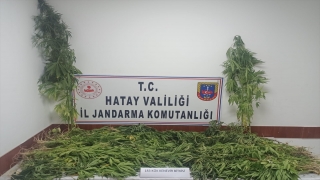 Hatay’da uyuşturucu operasyonunda yakalanan 11 zanlı tutuklandı