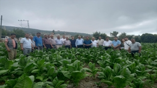 Tütün Üretimi ve Pazarlama Kooperatifleri Birliği Genel Başkanı Solgun, Hatay’da