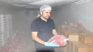 Eski cezaevi binası meyve işleme fabrikası olarak üretime başladı