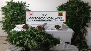 Elmalı’da uyuşturucu operasyonunda bir şüpheli yakalandı