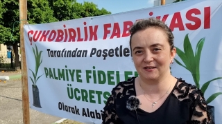 Adana’da Çukobirlik ücretsiz palmiye fidesi dağıtıyor
