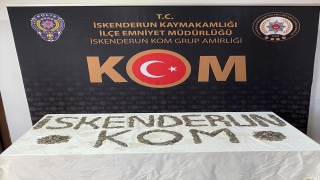 Hatay’da otomobilde 6 bin 670 sikke ele geçirildi