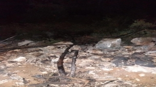 Antalya’da orman yangını çıkardığı iddiasıyla bir kişi tutuklandı